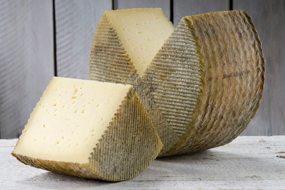 queso manchego de oveja