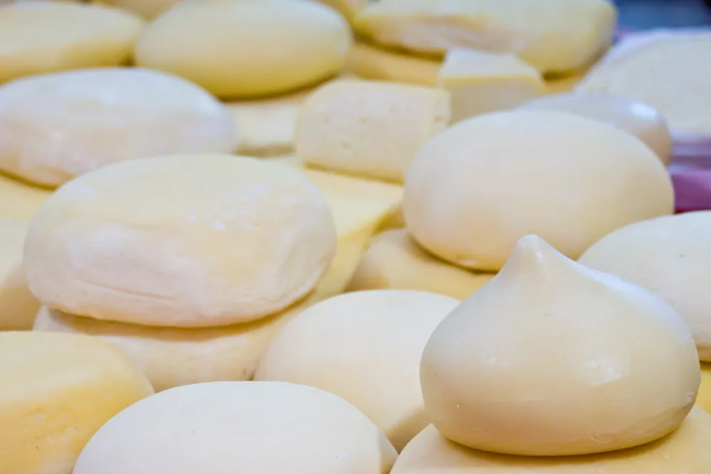 Vários quesos tetilla